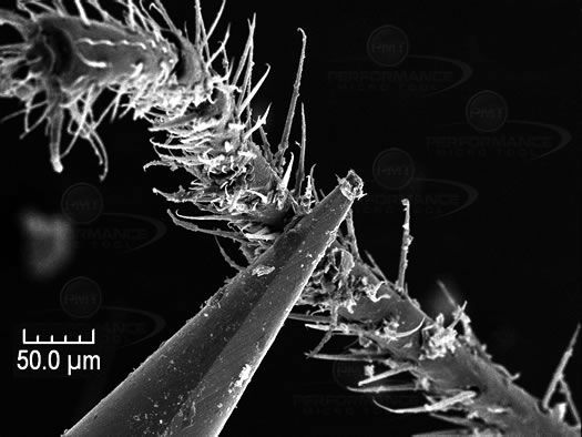 Nano Tool Ant